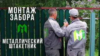 Установка забора из Евроштакетника Nova Lux. Ограждение из металлического штакетника своими руками