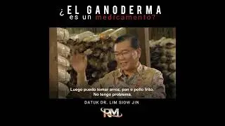 El ganoderma es un medicamento? DATUK DR. LIM SIOW JIN
