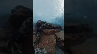 Así Conseguí Capturar Este Gran Pez🤯
