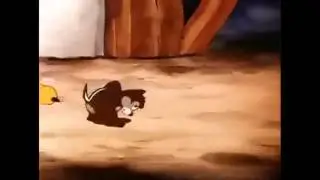 The Best 'Chip and Dale' Cartoon Complication #2   258