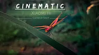 Cinematic video shoot  With phone Xiaomi 11i