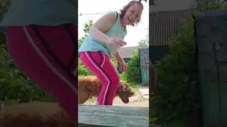 Ролик № 1082. Танцы-шманцы. Чуть не оконфузилась.