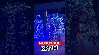 МОЛОЧНОЕ 🔥 НОВЫЙ ГОД КРУГЛЫЙ ГОД 👍 НА ДНЯХ СНИМАЛ 🌞 