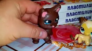 Pet своими руками