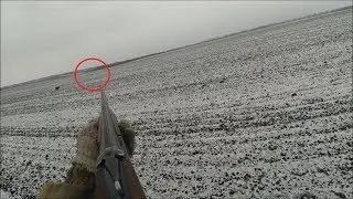 СОБАКА ЗА ЗАЙЦЕМ охота на зайца 16.12.2018