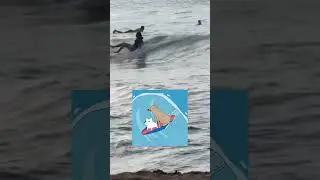 Surfing vs Expectation vs Wave vs Reality vs Board vs Ocean