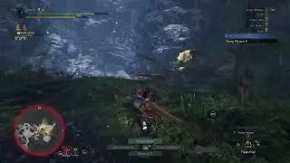[unarmed] unsuspecting black man gets caught in crossfire between deer and huntsman w/ shotgun