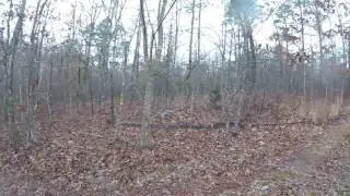 Powers Acres -Missouri Ozarks Land- Part 2