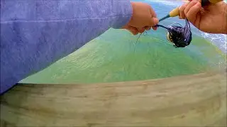 Pulling Illegal Fish Out From Under SeaView Fishing Pier