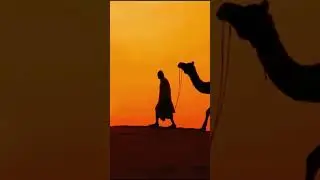 Начало дня: благодарность и намерения