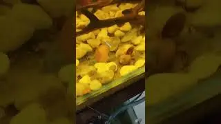 НАДЕЖДА УМИРАЕТ ПОСЛЕДНЕЙ 🤨😃💪✊👍