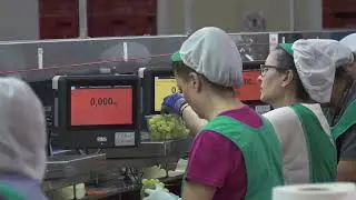 Multi-Line Weighing and Productivity Control Solution