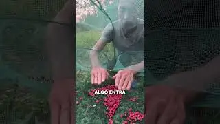 He caught a lot of things in the net! 🎣😮 