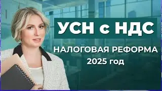 Налоговая Реформа 2025 🤔 Что ждет бизнес ❓Упрощенка и НДС