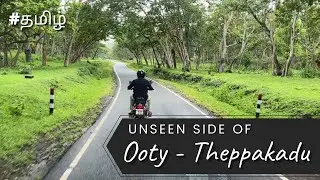 OOTY - MASINAGUDI | NO EPASS NEEDED | THEPPAKADU AWESOME VIEW 🌳🌲