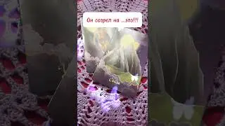 На что он уже созрел?!?