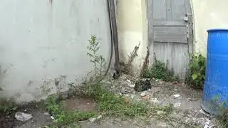 Последствия Урагана в Нальчике 2021