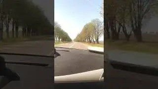 Весенняя дорога