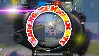 Warehouse Highlights
