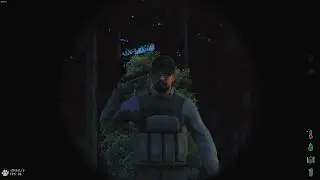 dayz