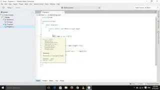 How to declare an Array C#