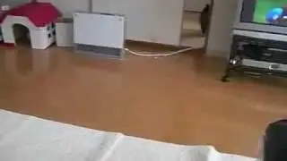 Tea bagging a pussy
