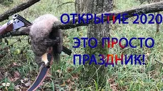 Открытие охоты по пушнине с лайкой