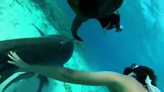GoPro Shark Riders   TV Commercial   You in HD