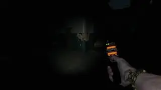 GHOST WATCHERS Молчиливый стрим