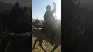 Sariosiyo ko'pkari 28.12.2021