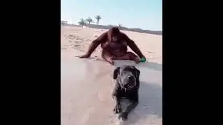 дама с собачкой
