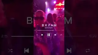 как прошли выходные
