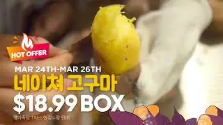 [A-Mart] Sweet Potato & Yam Box / 네이쳐 고구마 박스 / LIMITED TIME OFFER Mar 24th-26th 2023