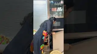 ನಮ್ಮೂರಿನ ಅರಿಶಿನ ಎಲೆ ಕಡಬು 😋😋 #minivlog 181 #shruvlogs🤩 #dailyvlogs #ethnicrecipes #shruvlogs