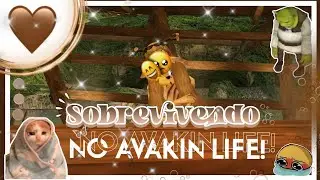 😭𖥻 SOBREVIVENDO NO AVAKIN (ME DECEPCIONEI)!! ||avakin life 😱💖