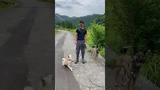 Morning walk with Mori & Ume 