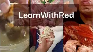 Best Lechon &  Food Trips to Learn With Red
