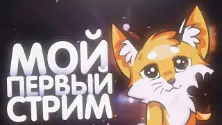 МОЙ ПЕРВЫЙ СТРИМ