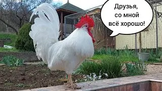 WHERE DID ANNA AND PETYA DISAPPEAR?
