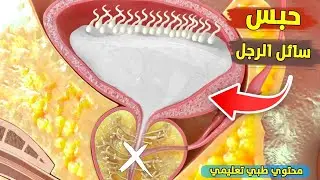 See what happens when a man's semen is trapped | Medical and educational content