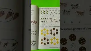Count and Circle the number of penguins