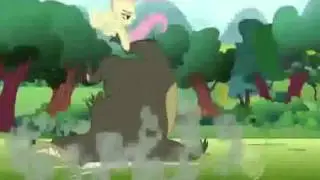 Fluttershy kills a bear - Captain Falcon Edition.