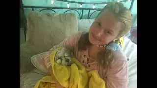 СПА для Дэйзи