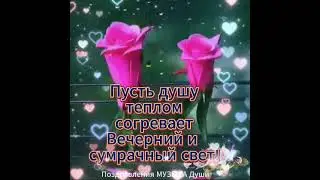 Добрый вечер! Good evening! #добрыйвечер #shorts