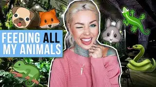 Feeding ALL My Pets in One Video 🍽| KristenLeannimal