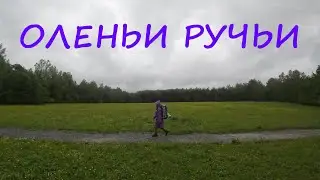 Оленьи ручьи #парк #природа #поход #кемпинг