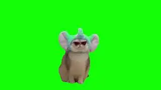 Cute Cat with Hat and Glasses Memes | Green Screen HD