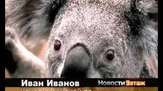 Титры))