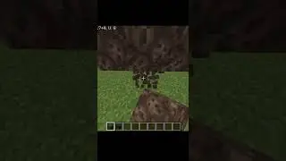 wither will spawn upside down or not in Minecraft...