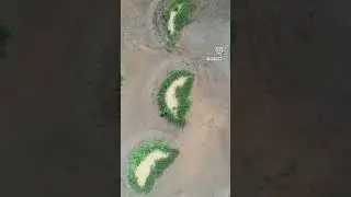 #nature
